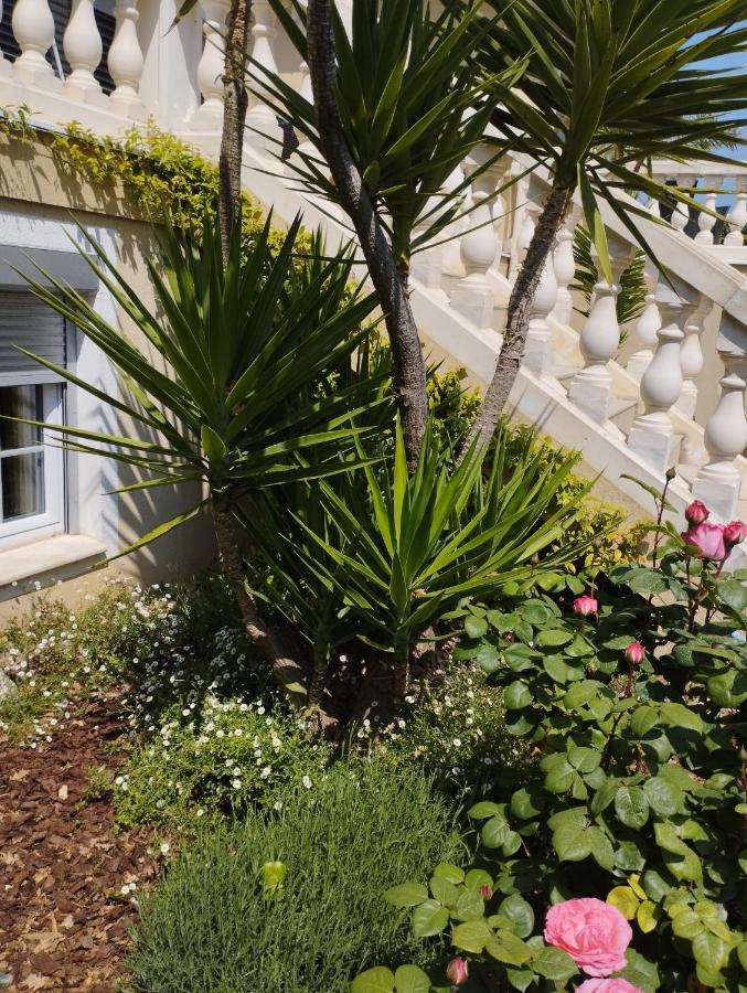 Villa Flora Superior Apartment Cabris Zewnętrze zdjęcie
